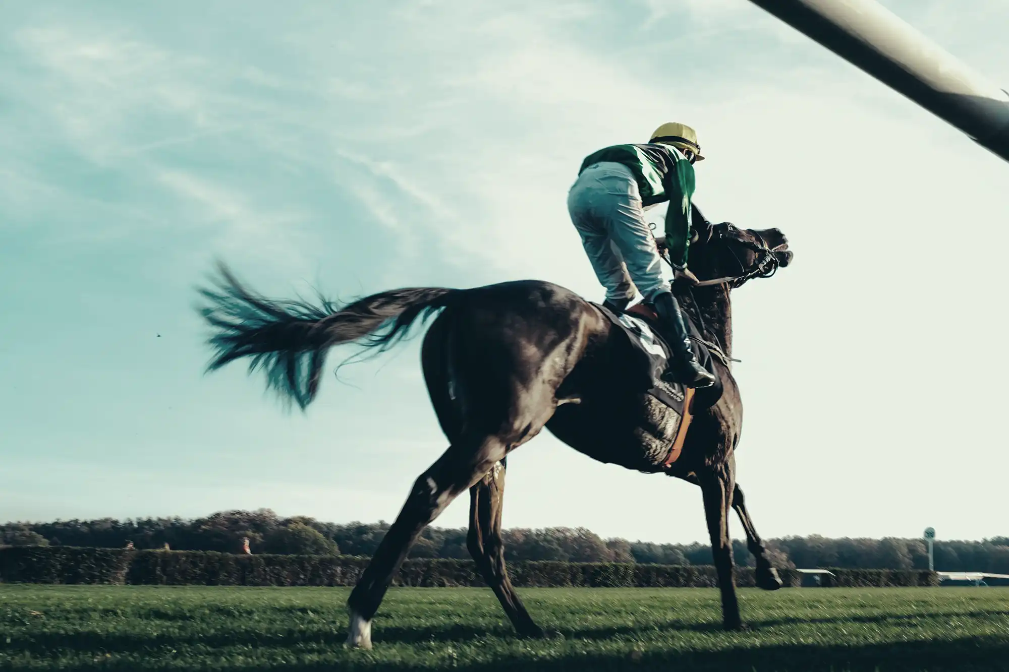 Cheltenham SEO Consultancy, Web Design & Creative Services